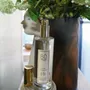Parfums d'intérieur - Brume de maison - Jardin à l'anglaise - BÔRIVAGE