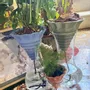 Vases - Clay pot - NOMADE VERT- design - 3D auto-irrigating - COMMON PLACE