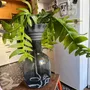 Vases - Clay pot -NOMADE BLUE PETROL- design - 3D auto-irrigating - COMMON PLACE