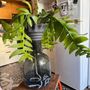 Vases - Clay pot -NOMADE BLUE PETROL- design - 3D auto-irrigating - COMMON PLACE YOUR URBAN JUNGLE