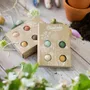 Cadeaux - Coffret cadeau Blossombs - Des fleurs pour toi - 4 bombes à graines - BLOSSOMBS