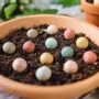 Cadeaux - Coffret cadeau Blossombs - Des fleurs pour toi - 4 bombes à graines - BLOSSOMBS