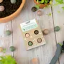Gifts - Gift Box Mini with 4 Blossombs Seed Bombs - BLOSSOMBS