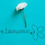 Other wall decoration - Lotus Flower - "Welcome" - Wire Wall Decoration - BIJOUX DE MUR