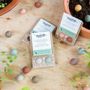 Gifts - Give-Away with 2 Blossombs Seed Bombs - BLOSSOMBS