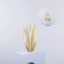 Other office supplies - Vase "Pleasure" - AURA 3D