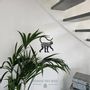 Paintings - Painting - Flower Monkey - POMME DES BOIS