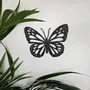 Tableaux - Tableau - Papillon Classique - POMME DES BOIS