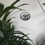 Paintings - Painting - Sea Turtle - POMME DES BOIS