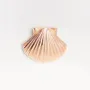 Bijoux - bijou broche CLAP - SHELLA le coquillage - CLAP PARIS