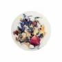 Cosmétiques - Creamer Amalfi - LA BOMBA