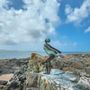 Outdoor decorative accessories - Swimming sculptures - DAWN CONN SCULPTURE LIMITED