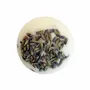 Beauty products - Creamer Provence - LB ESSENTIALS SP ZOO