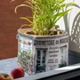 Homewear - Fabric box Paris Graineterie - MARON BOUILLIE