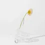 Glass - Cobra Vase/Candle Holder - HOUSE OF NUNU