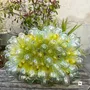 Objets personnalisables - Grappe de verre lumineuse - LA MAISON DAR DAR