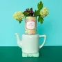 Cadeaux - Kit à semer « Mon petit chat » fabriqué en France - MAUVAISES GRAINES