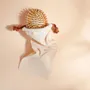 Accessoires cheveux - Brosse à cheveux - Démêlage et brillance - BACHCA