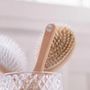 Hair accessories - Boar/Nylon Care & Shine Brush Made in France - BACHCA