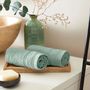 Serviettes de bain - Lot de 2 Serviettes Invite Eponge 100% Coton "Spa" 30 x 50 cm Menthe - COTON PUR