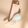 Hair accessories - Universal Nylon Detangling Brush Made in France - BACHCA