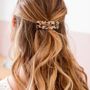 Hair accessories - Tortoise hair clips x2 - BACHCA