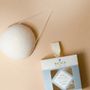 Beauty products - KONJAC SPONGE - BACHCA