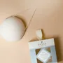 Beauty products - KONJAC SPONGE - BACHCA