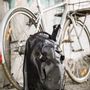 Bags and totes - Waterproof bike backpack 25L - BANDIT - ZULUPACK