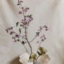 Formal plates - Floral plate with wide flange - MARIA MONASTERIO CERAMIC