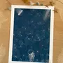 Poster - MEDUSE #1 - MARIE KAZMIERCZAK
