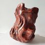 Vases - Lithos Red Shino - SABMULLER CERAMICS