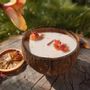 Candles - Candle that becomes an Orange Blossom plant - LUMINANTE