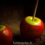 Bougies - La bougie qui devient plante Pomme d'Amour - LUMINANTE