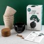Decorative objects - Parasol Pine Bonsai Kit - RADIS ET CAPUCINE
