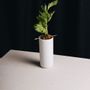 Mugs - Tajimi - ACME