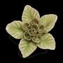 Céramique - Collection de jardins anglais à fleurs en céramique - CHIVE