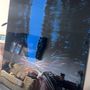 Paintings - Painting Acrylic Resin "5th Avenue" FOREVER - TURIK&ART (KSENIIA TURIK)