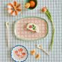 Assiettes au quotidien - Mélamine de riz - RICE