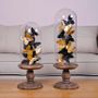 Objets de décoration - S/2 ASS.DE PAPILLONS NOIR/GOLD SOUS GLOBE - FANCY