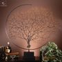 Objets de décoration - Nos produits incontournables. - OBJET DE CURIOSITÉ