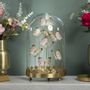 Customizable objects - Our butterfly collection - OBJET DE CURIOSITÉ