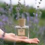 Fragrance for women & men - Eau de parfum - Arcadie Florale - PROVENCE - POÉCILE