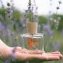 Fragrance for women & men - Eau de parfum - Arcadie Florale - PROVENCE - POÉCILE