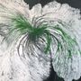 Tableaux - Peintre acrylique sur toile " Mojito" - TURIK&ART (KSENIIA TURIK)