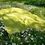 Serviettes de bain - FOUTA EN COTON BIOLOGIQUE - couleur BASILIC - KARAWAN AUTHENTIC