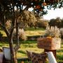 Garden textiles - Double sided cushion Laura Moss & Caramel x Jackie Caramel & Ecru - PALAIS SUSTAINABLE LUXURY