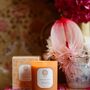 Bougies - Bougie parfumée Zanzibar Épices - PALAIS SUSTAINABLE LUXURY