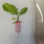 Table linen - Set of 4 embroidered napkins. Collection HOME GARDEN - ARTIPARIS