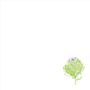 Table linen - Set of 4 embroidered napkins. Collection ARTICHOKE - ARTIPARIS